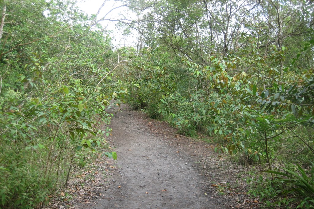 Sitecore Search with XM Cloud Quick&nbsp;Start